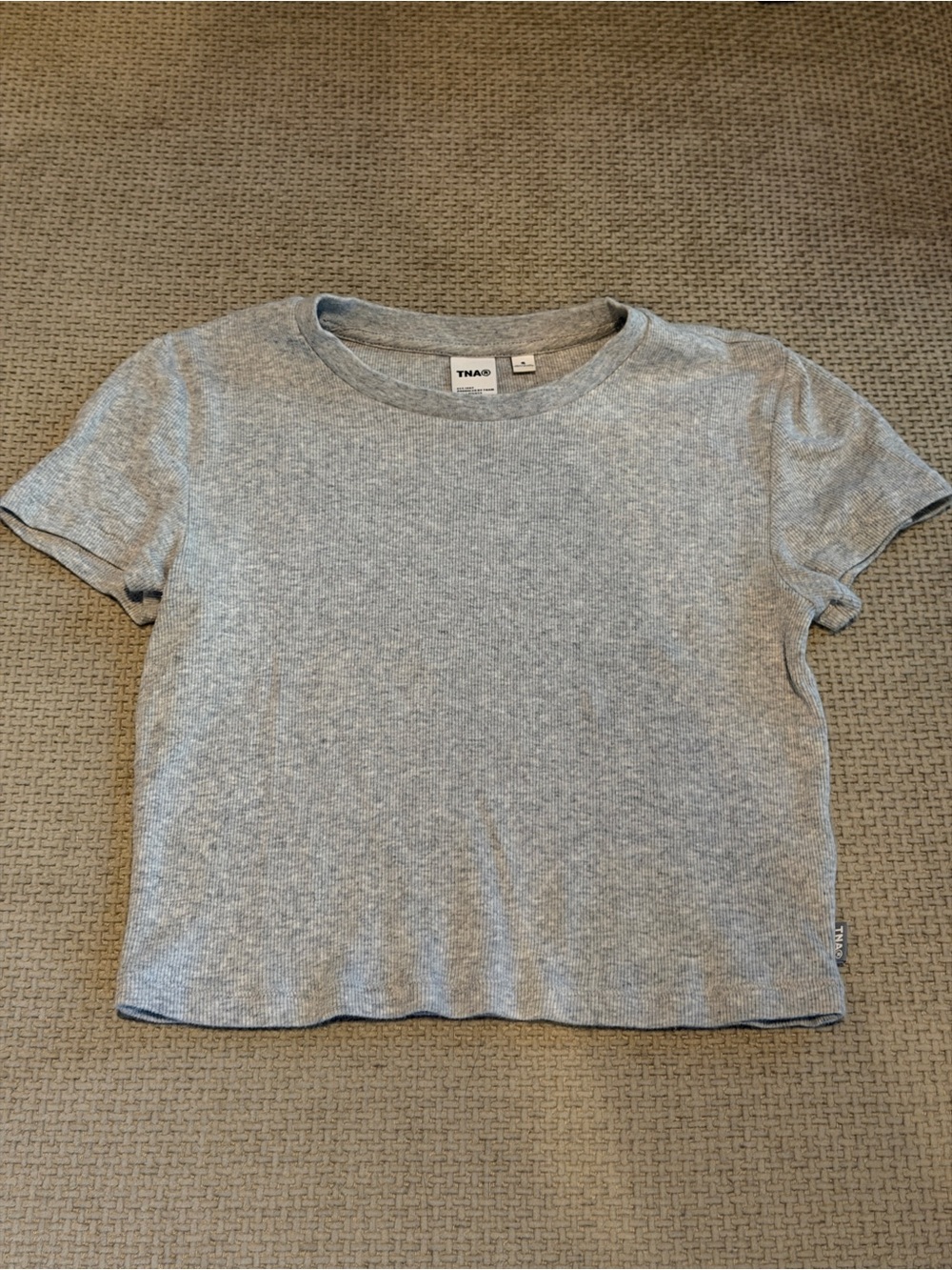 Aritzia Heather Gray Ribbed Crop Tee
